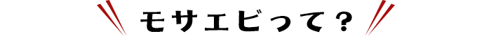 モサエビって？